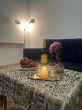Two bedroom Retro style apt, you rent a whole apartment in the center of Yerevan